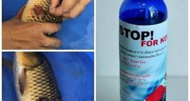 Hình ảnh thuốc trị lở loét BAC STOP