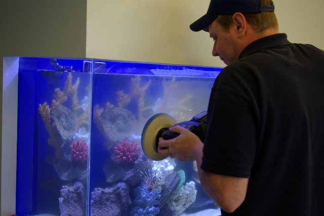 Hình ảnh xử lý kính bể cá bị trầy xước