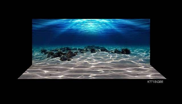 Tranh 3D Bể Cá - 3D Aquarium Backgrounds Mẫu Mới 2015