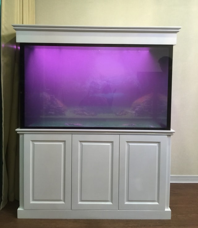 Hình ảnh bể cá rồng gỗ sồi khung lim sơn trắng