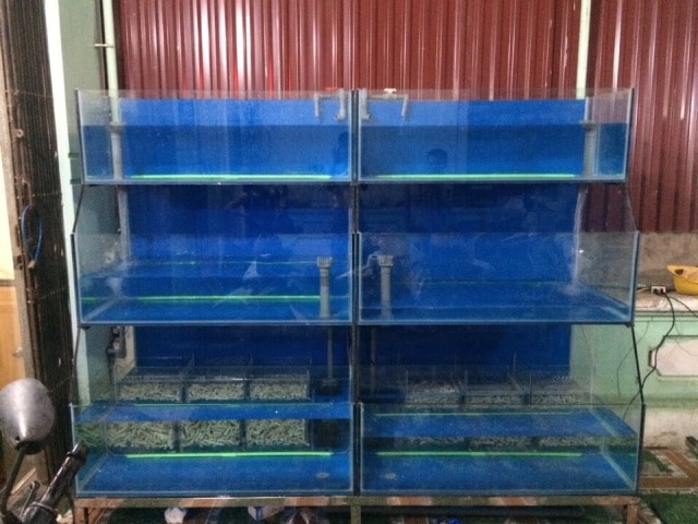 hình ảnh Dàn bể hải sản tại Ninh Bình