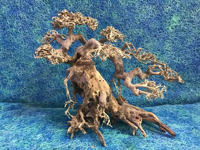 Hình ảnh Lũa bonsai số 1