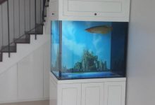 Hình ảnh bể cá cảnh cao cấp