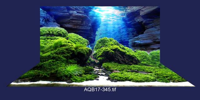 tranh 3d phong canh 11 Mẫu tranh bể cá 3D phong cảnh