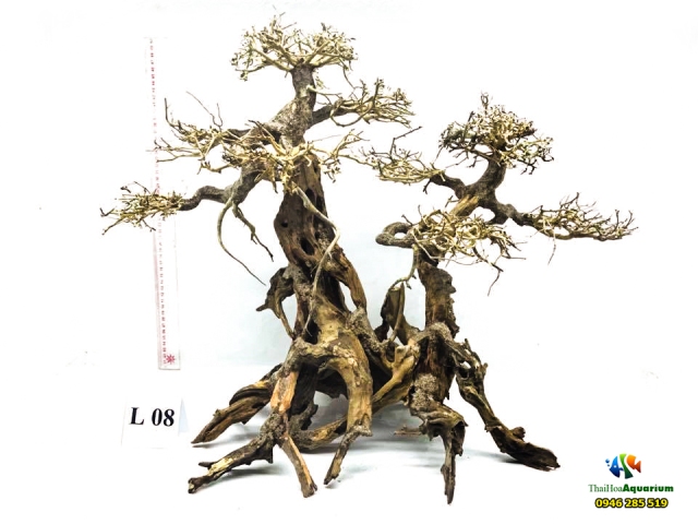 Hình ảnh Mẫu bonsai L08