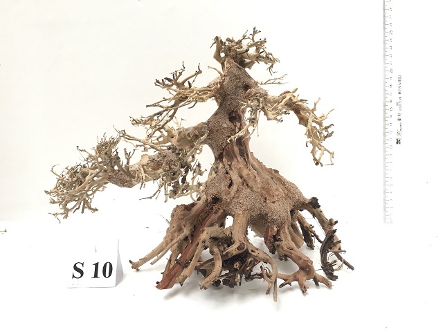 Hình ảnh lũa bonsai cho bể thủy sinh 40-90cm