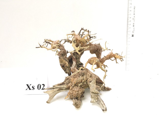 Hình ảnh lũa bonsai cho bể thủy sinh