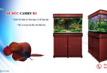 Hình ảnh Bể cá đúc Trung Quốc Camry R3