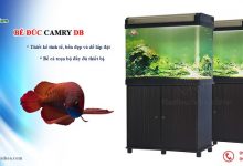 Hình ảnh Mẫu bể cá đúc Trung Quốc Camry DB