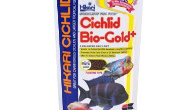 Hình ảnh Hikari Cichlid Bio-Gold+ 250g