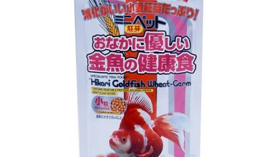 Hình ảnh Hikari Goldfish Wheat-Germ 200g Hạt Nổi