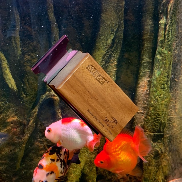 Hình ảnh Mã cọ bể tích hợp lưỡi dao cho bể nhiều rêu-tảo