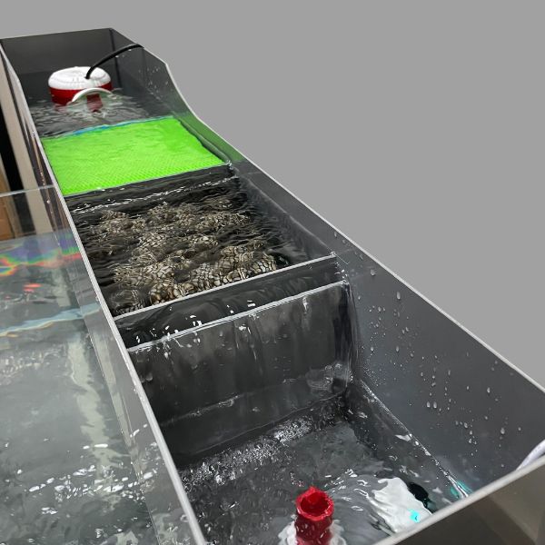 Nhớ đổ đầy nước vào ngăn bơm trước khi khởi động máy bơm